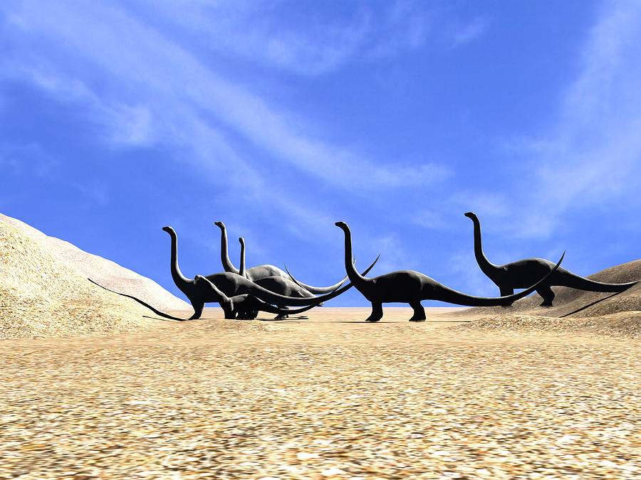 the sauropod dinosaurs