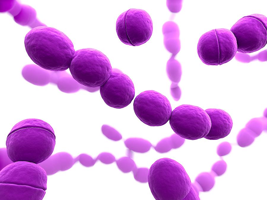 Streptococcus Bacteria, Artwork #6 Photograph by Sciepro - Pixels🐸 ...