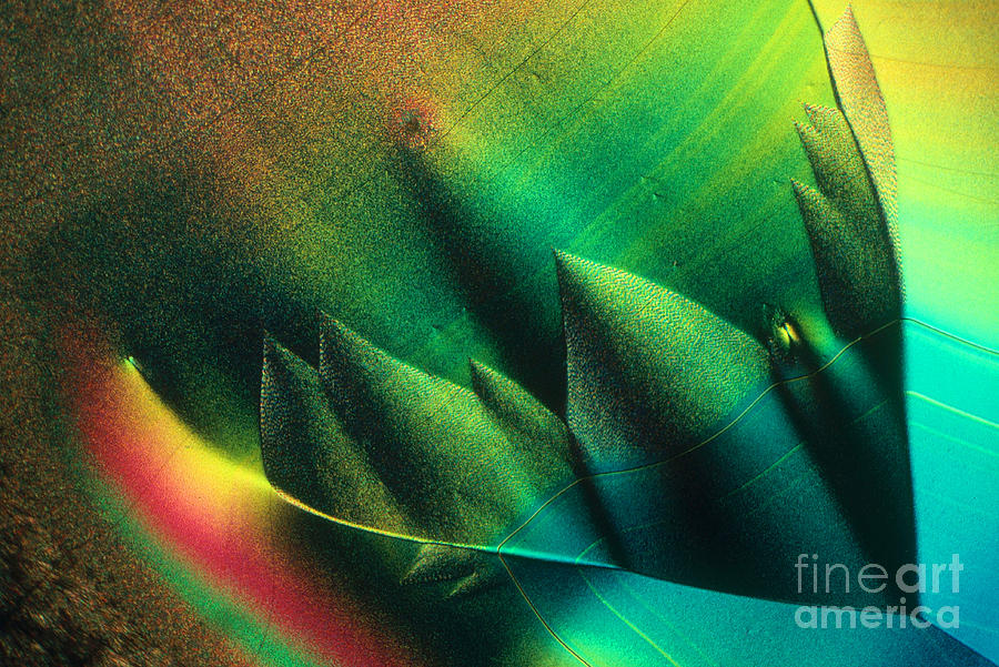 Chemistry Photograph - Vitamin C Crystal #10 by M I Walker