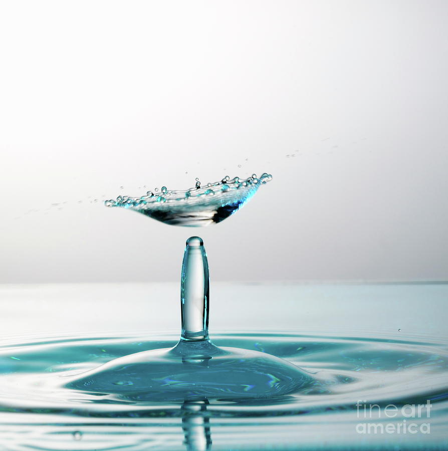 Water drops colliding to shape an umbrella splash Photograph by Sami ...