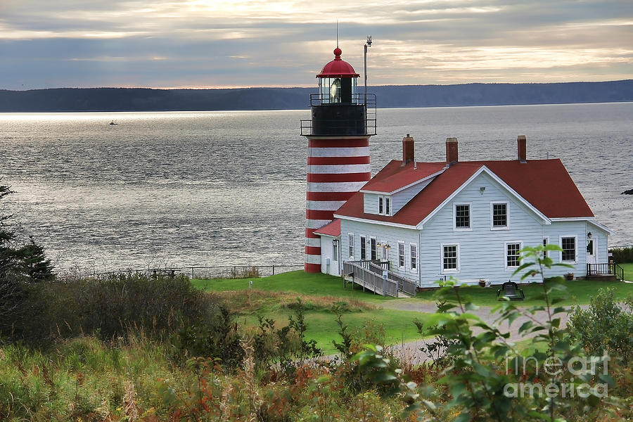 West Quoddy Head Lighthouse Photograph - West Quoddy Head Lighthouse #7 by Jack Schultz