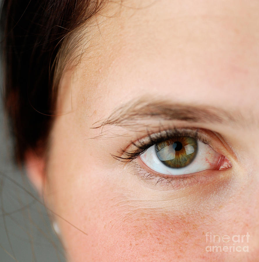 Womans Eye #6 Photograph by Photo Researchers, Inc.
