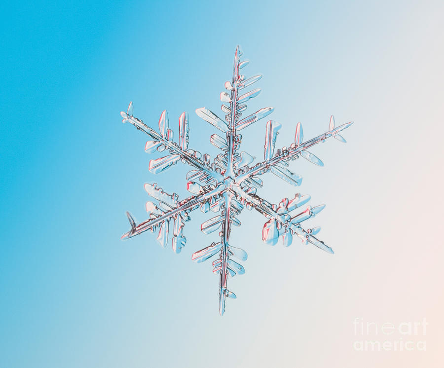 Snowflake #61 Photograph by Ted Kinsman