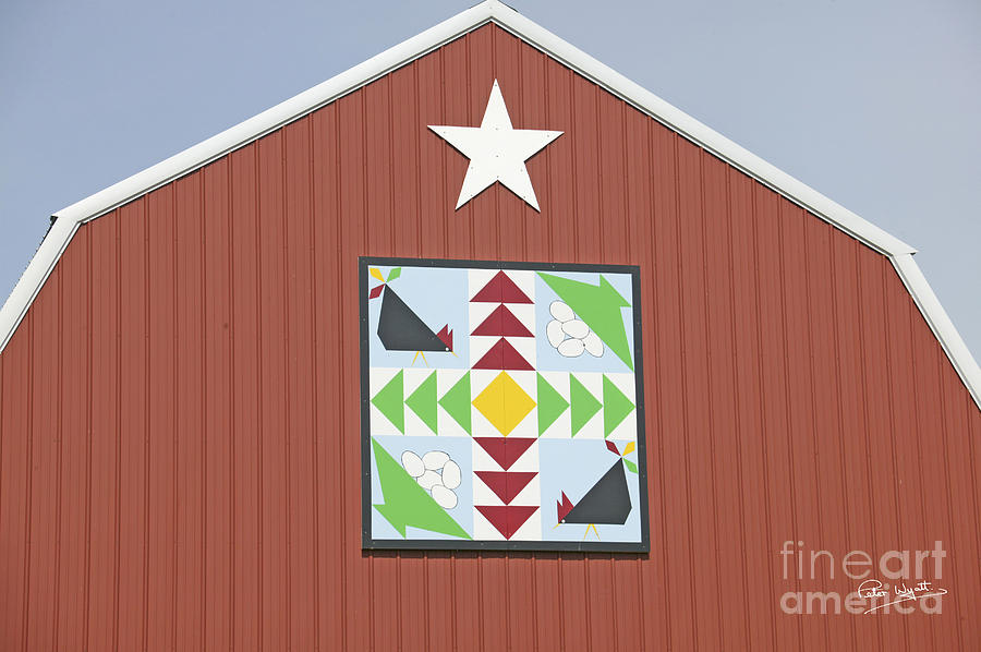 Door County Scenery - Barn Quilt Photograph