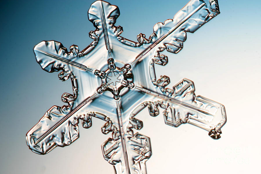 Winter Photograph - Snowflake #66 by Ted Kinsman