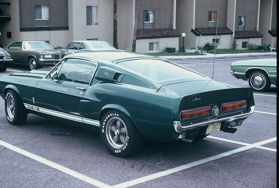 67 Shelby Mustang Photograph by Rich Franco - Fine Art America