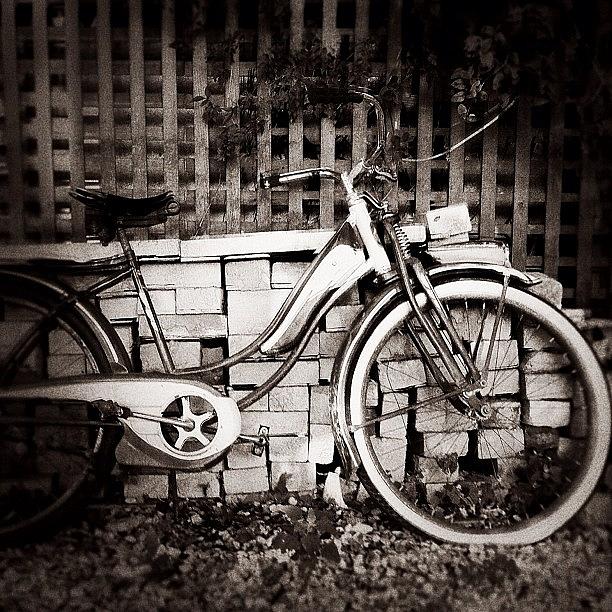 Bicycle Photograph - Instagram Photo #681345835503 by Jess Stanisic