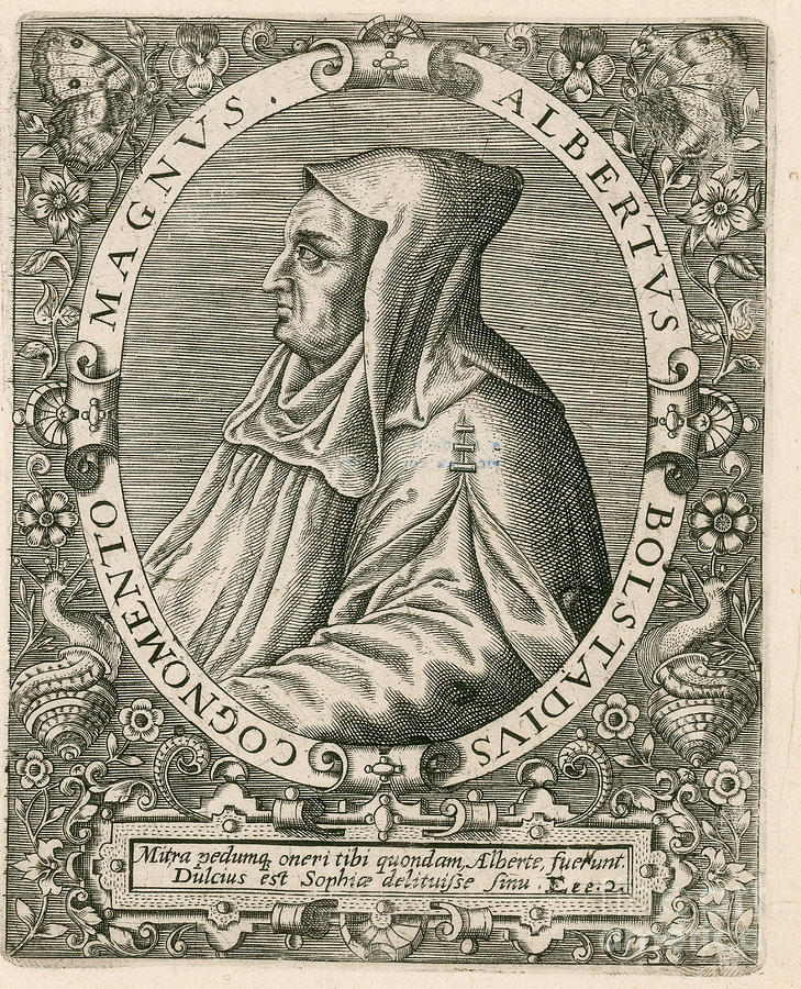 Portrait Photograph - Albertus Magnus, Medieval Philosopher #7 by Science Source