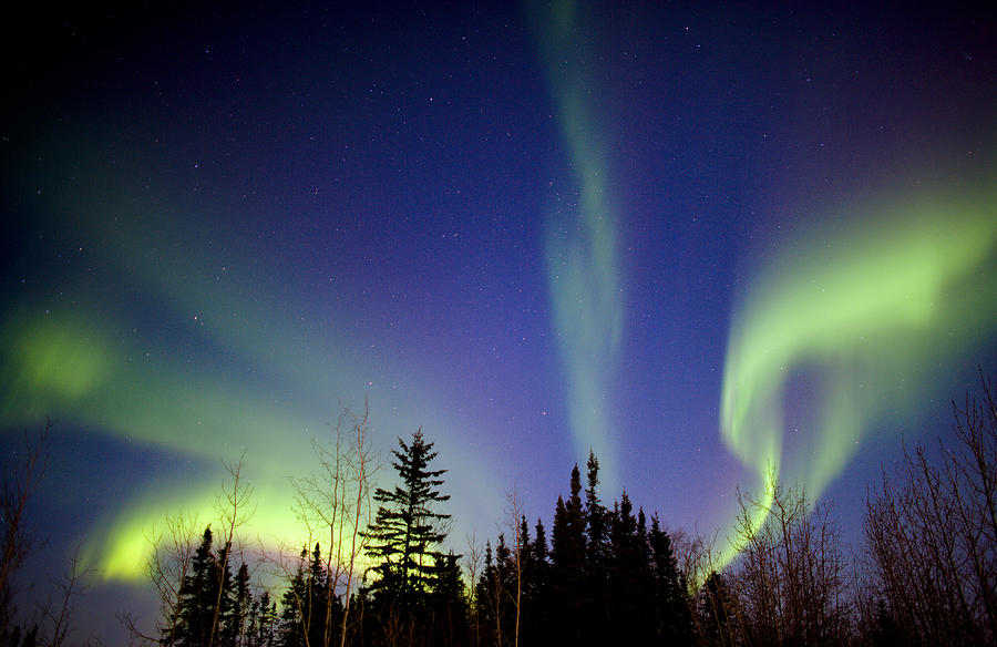 Aurora Borealis In Alaska Photograph by Chris Madeley - Fine Art America