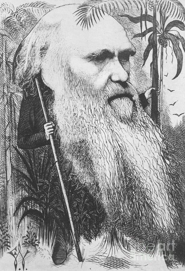 Charles Robert Darwin, English #7 Photograph by Science Source