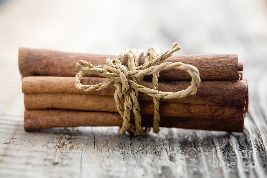 Cinnamon sticks #7 Photograph by Kati Finell