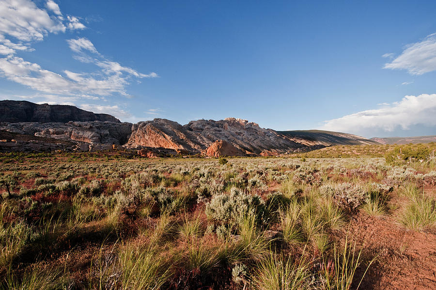 dinosaur np