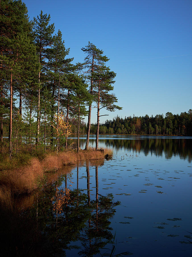 Fall Photograph - Fall at Saari-Soljanen #7 by Jouko Lehto