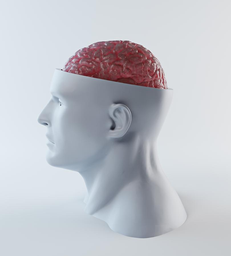 Human Brain, Artwork #7 Digital Art by Andrzej Wojcicki