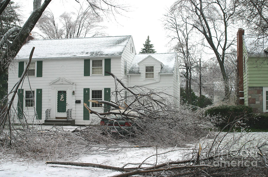 Ice Storm #7 Photograph by Ted Kinsman