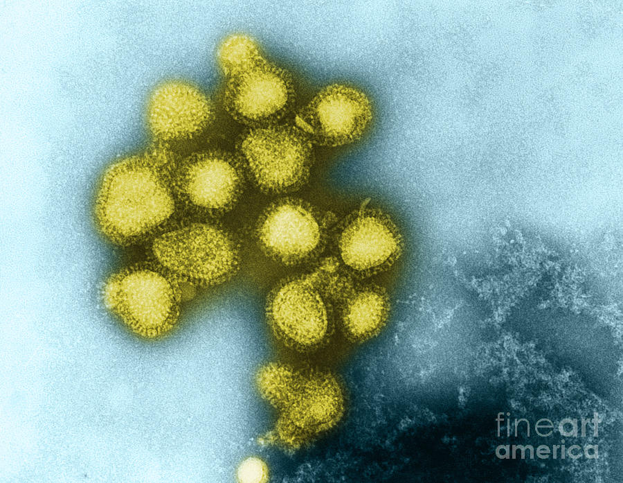 Influenza Virus #7 Photograph by Omikron