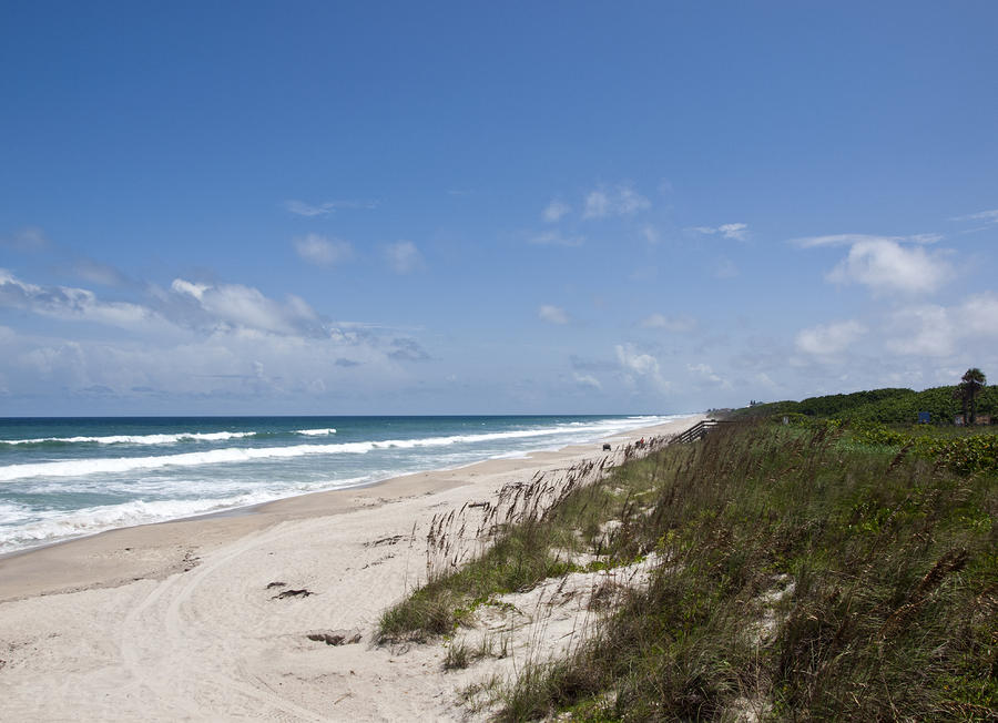 Juan Ponce de Leon Landing Site in Florida Photograph by Allan Hughes ...