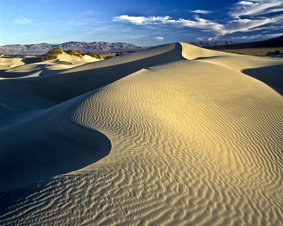 Sand Dune Death Valley #5 Photograph by Joe  Palermo