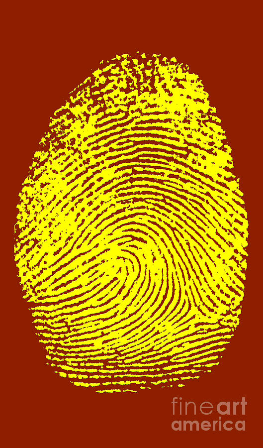 Thumbprint #7 Photograph by Science Source