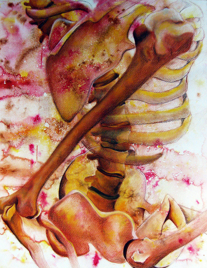 Skeleton Drawing - Untitled #5 by Emma Craig