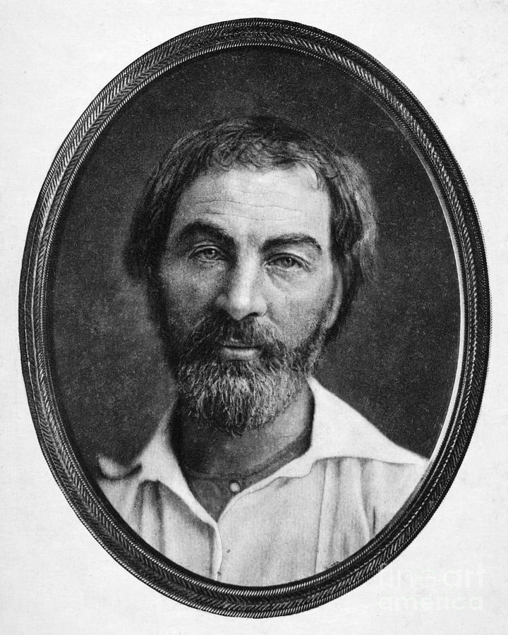 Walt Whitman (1819-1892) #7 by Granger