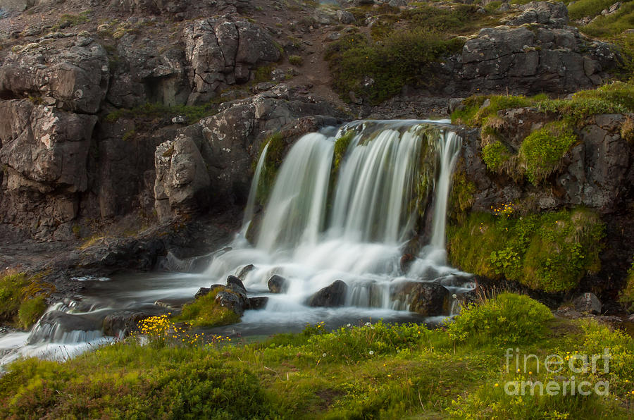 Waterfall Iceland #7 Photograph by Jorgen Norgaard