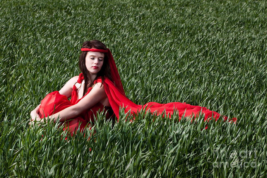 Woman in Red Series #7 Photograph by Cindy Singleton