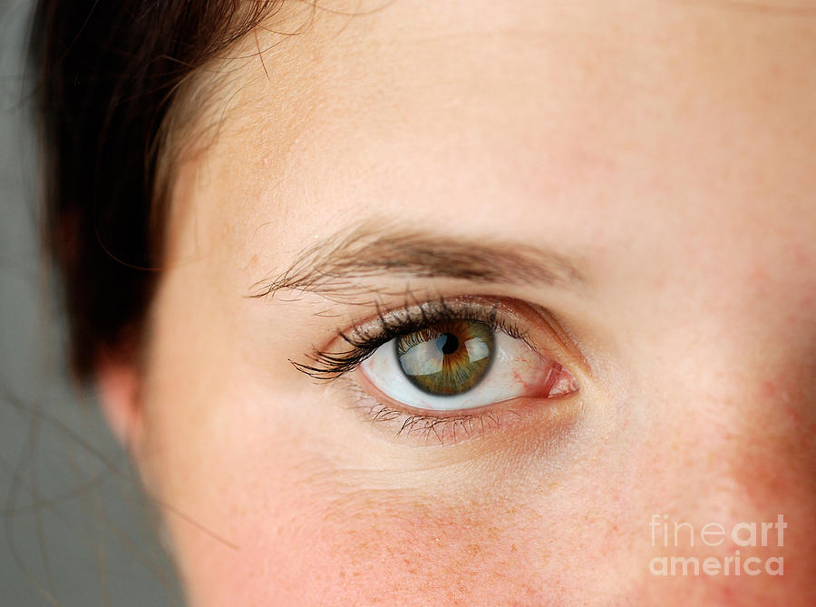 Womans Eye #7 Photograph by Photo Researchers, Inc.