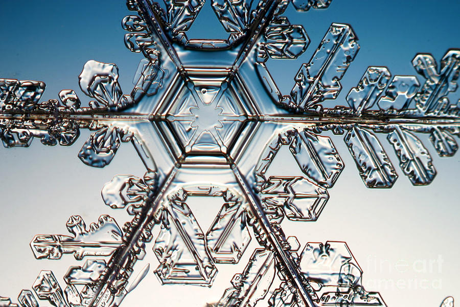 Winter Photograph - Snowflake #75 by Ted Kinsman