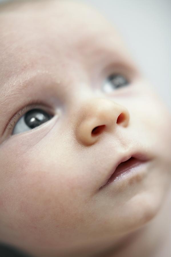 12-17 Months Photograph - Baby Boy #8 by Ian Boddy