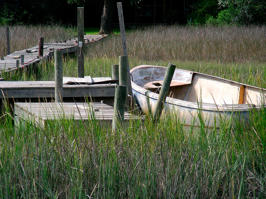 Marshes Photograph by Jean Wolfrum