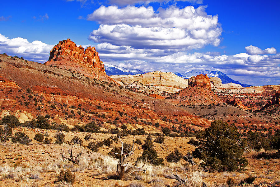 Capitol Reef National Park Burr Trail #8 Photograph by Mark Smith