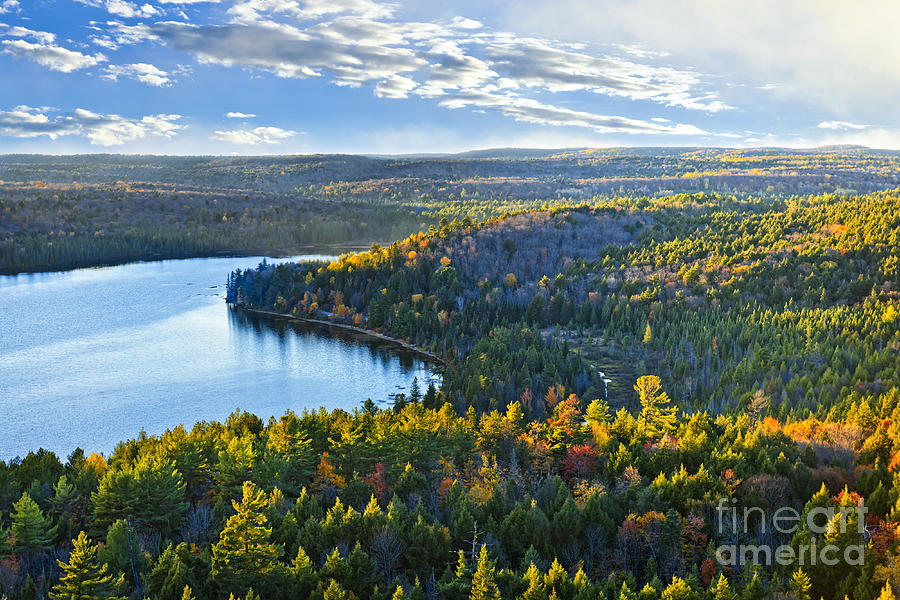 High view with forest and lake Photograph by Elena Elisseeva