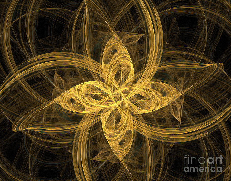 Fractal Image #8 Photograph by Ted Kinsman