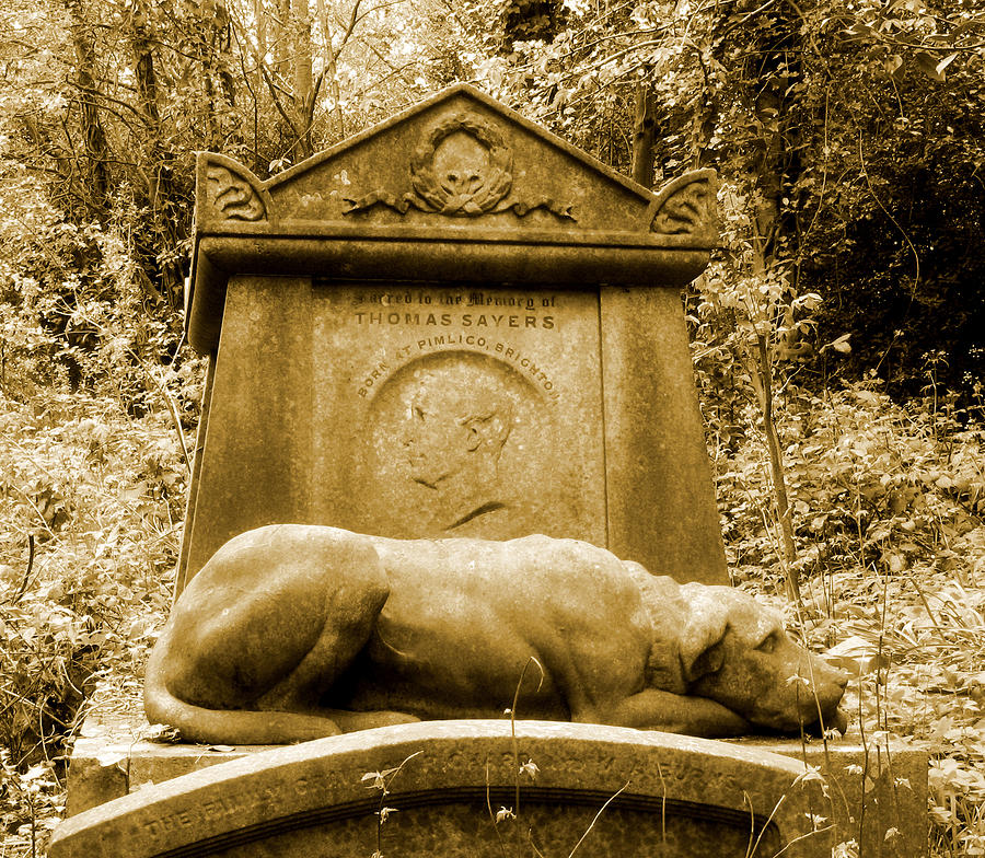 Highgate Cemetery #8 Photograph by David Harding