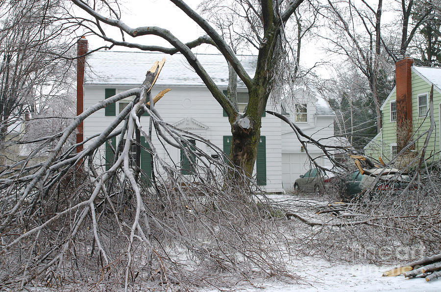 Ice Storm #8 Photograph by Ted Kinsman