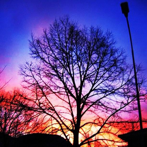 Beautiful Photograph - Sunset by Luisa Azzolini Beautiful Photograph - Sunset by Luisa Azzolini