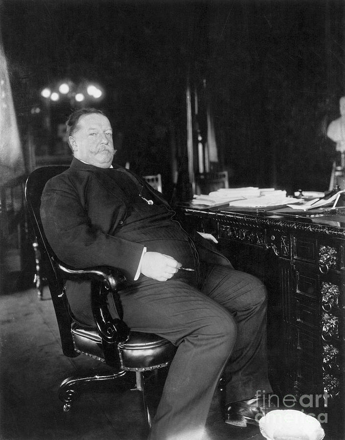 Portrait Photograph - William Howard Taft #8 by Granger