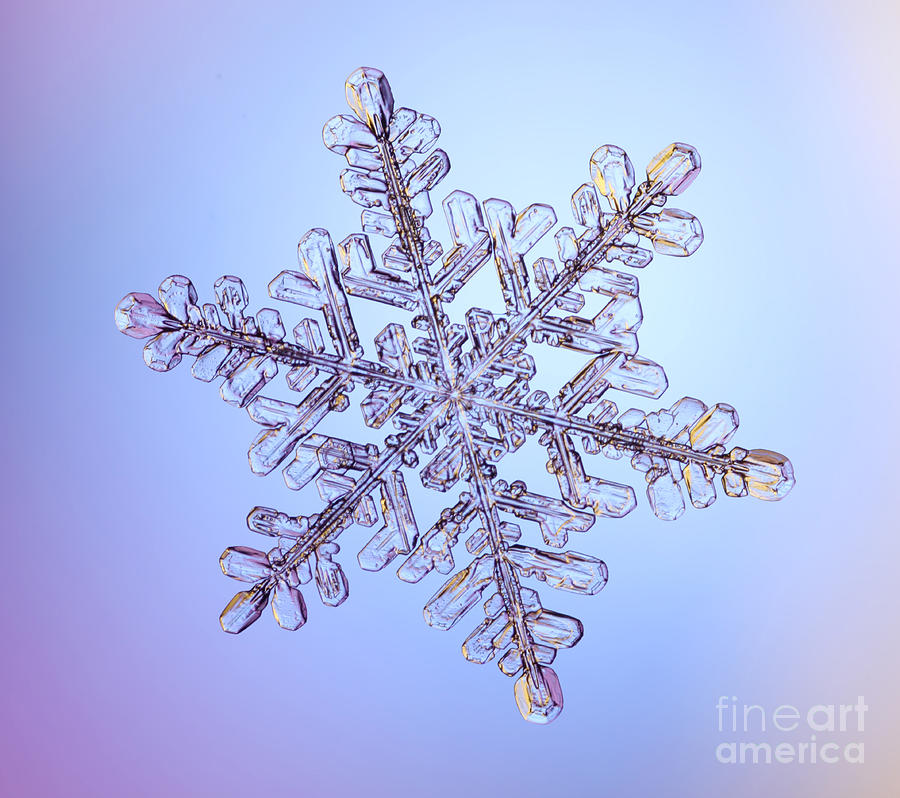 Winter Photograph - Snowflake #82 by Ted Kinsman