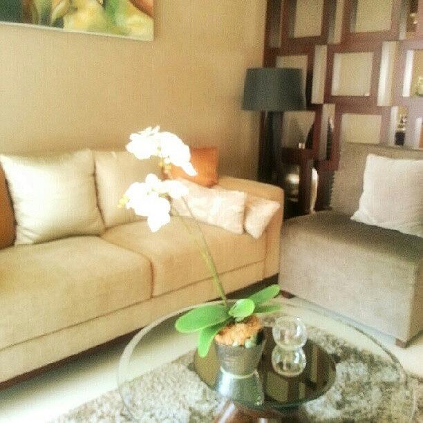 Orchid Photograph - Instagram Photo #851343640177 by Tommy Tjahjono Orchid Photograph - Instagram Photo #851343640177 by Tommy Tjahjono