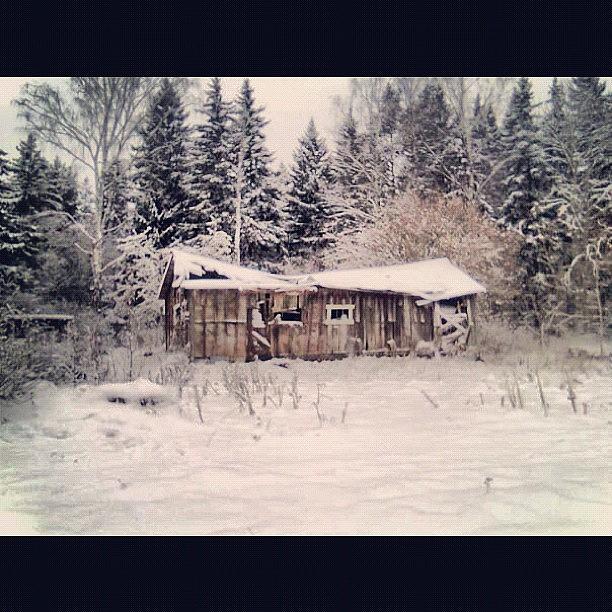 Winter Photograph - Instagram Photo #861350310664 by Andrea Romero