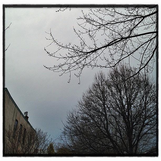 Rainyday Photograph - Instagram Photo #861354611610 by Ilana Shamir