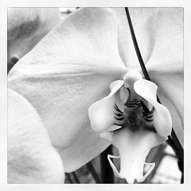 Black And White Photograph - Instagram Photo #871353077765 by Meredith Leah Black And White Photograph - Instagram Photo #871353077765 by Meredith Leah