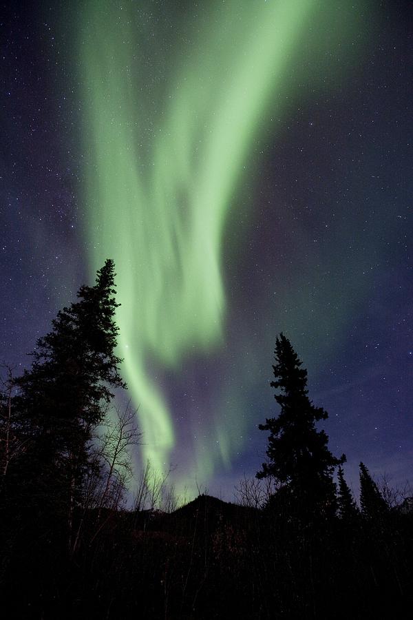 Nature Photograph - Aurora Borealis #9 by Chris Madeley