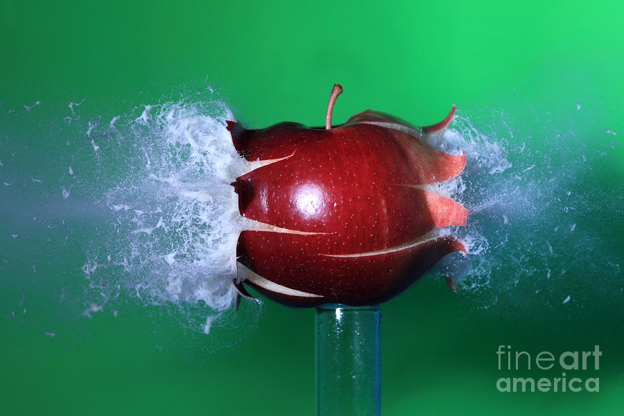 Apple  - Bullet Hitting An Apple #9 by Ted Kinsman