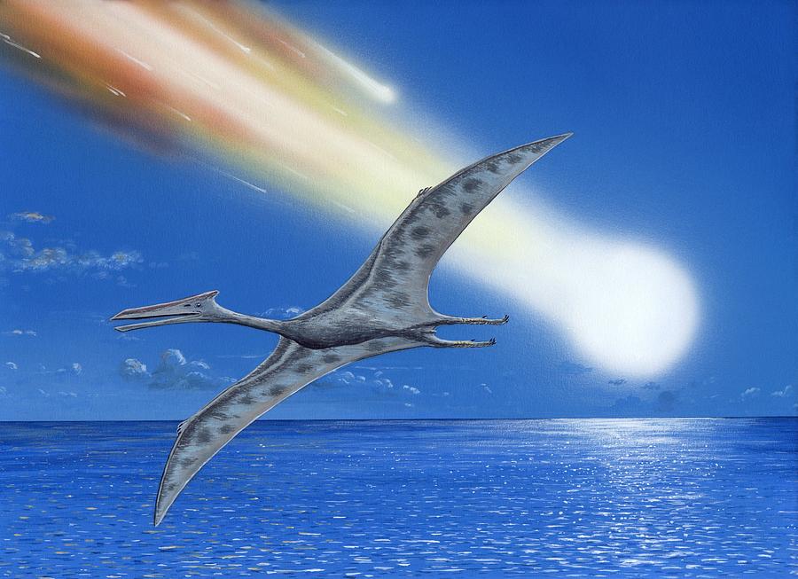 jurassic cretaceous extinction
