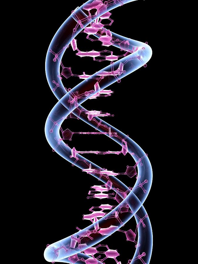 dna art