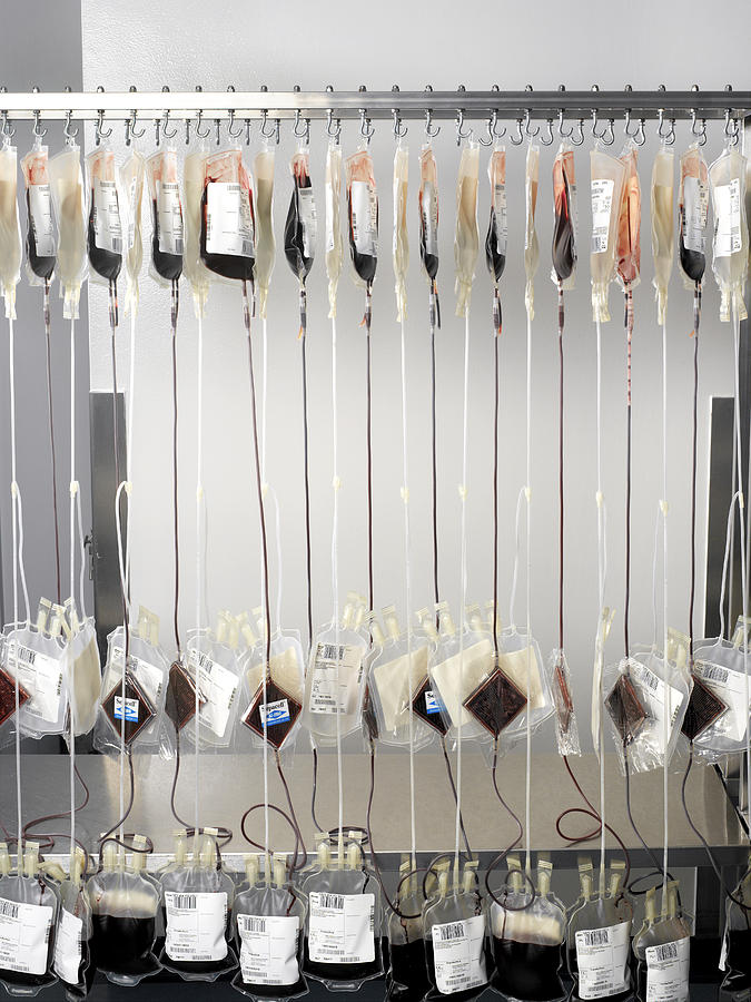 Donor Blood Processing Photograph by Tek Image