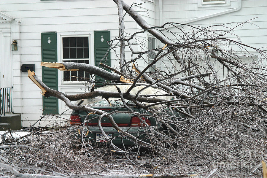 Ice Storm #9 Photograph by Ted Kinsman