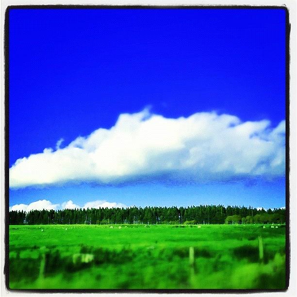 Landscape Photograph - Image Created With #snapseed #9 by Fay Pead